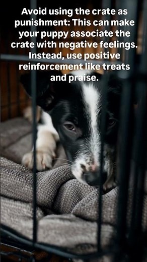 how to avoid common mistakes during crate training?