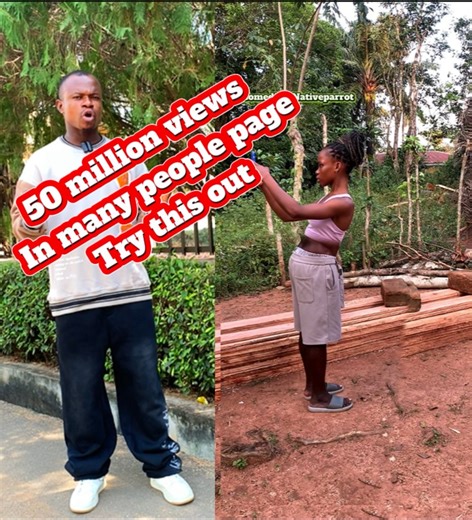 7.1K views · 293 reactions | This is how I edit this type of video | Comedian Native parrot | Facebook