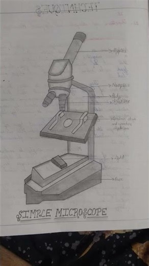 Beautiful Hand-Drawn Simple Microscope Diagram | Easy Science Drawing for Students 🔬✏️