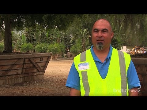 What are the steps to relocate a tree? | Ask BrightView