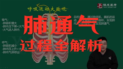 生理-基础阶段-肺通气 肺换气