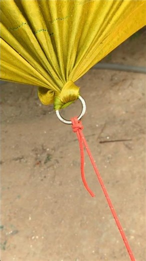 How do I tie a bull hitch. #knots #diy