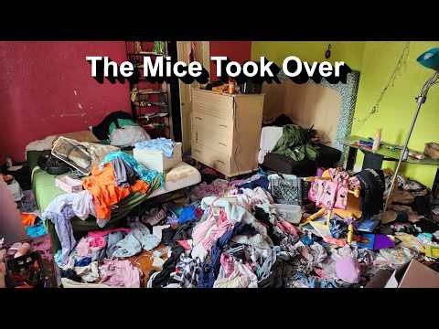 Cleaning a house that was so infested with mice, it was uninhabitable
