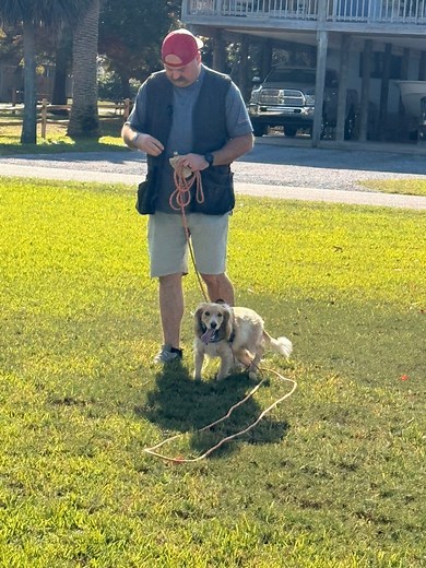 Mia, our adorable little Cocker Spaniel recruit has been working SO hard on her recall — and she’s absolutely sparkling with progress! ✨🎀 She comes running back with those cute ears bouncing and the happiest little trot. We’re so proud of this precious girl! 🩷🐶 #fyp #foryoupage #dog #dogtraining | Firehouse K9 Academy