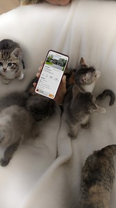 Get your questions answered by the actual listing agent on Homes.com. | Homes.com