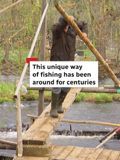 What does it take to catch gaspereau in Nova Scotia? The local delicacy isn't caught by casting a rod or jigging from a dory. Instead, there's a big net and a unique process that's closer to a circus act. The CBC's Jane Sponagle reports. #fishing#novascotia #news #rural #fish
