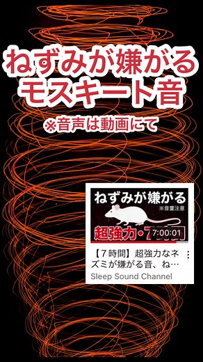 モスキート音でねずみ撃退❗️ #ネズミ #ハクビシン #ネズミが嫌がる音 #モスキート音 #ネズミ撃退音
