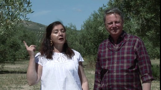 Castillo de Canena Smoked Arbequina Extra Virgin Olive Oil | Imported from Spain | 250 milliliter | Sofi Award Winner