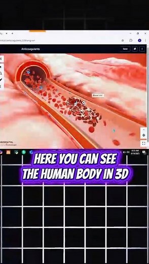 Human body 3D animation🧠 Human BioDigital – Explore 3D Human Body | #anatomymodel #skeletalanatomy