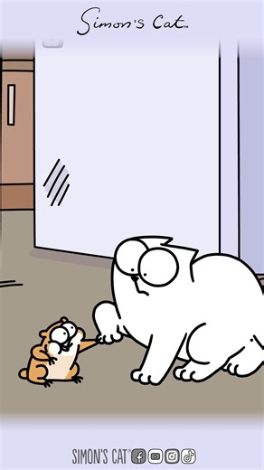 Simon's Cat on Instagram: "6.66 kilos of mayhem, cuteness and chaos! Simon's Cat is at the Vet again in Back to the Vet - Watch it by clicking the Link in our Bio or visiting our YouTube channel. 💉💊😿"