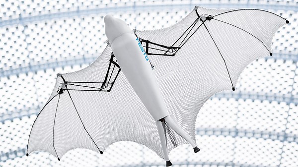 Incredible Robotic Animals That Imitate Real Life Perfectly