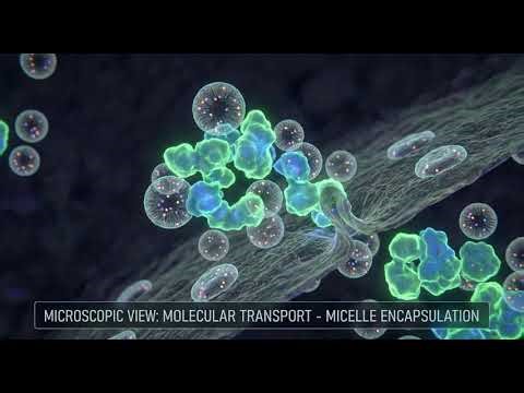 Sublingual Semaglutide vs. Injections: The 2026 "Needle-Free" Truth (Drops, Lozenges & Rybelsus)