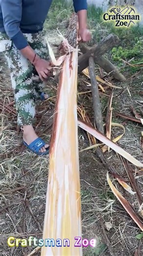 Quickly peel off the outer skin of the tree with a sharp sickle