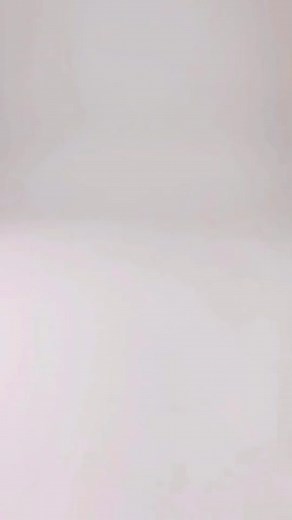 Step-by-Step LEGO Assembly Guide