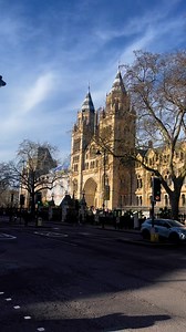 The Natural History Museum, London Exhibits include fossil from 65 million old ammonites, the first edition of Charles Darwin’s On the Origin of Species and a sample of moon rock from the USA Apollo missions, gifted to the UK by President Nixon. The museum is particularly famous for its exhibition of dinosaur skeletons. The Diplodocus cast that dominated the vaulted central hall was replaced with the skeleton of a blue whale hanging from the ceiling in 2017 Natural History Museum, London #london