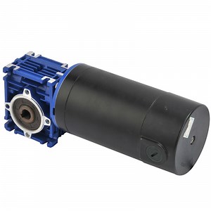 [Hot Item] DC Worm Gear Motor (RV040)