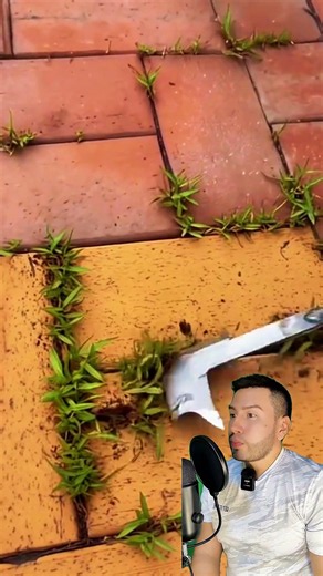 He used a homemade tool to effortlessly remove weeds from his floors