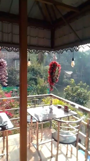 in the nature party 🥳🥳🥳