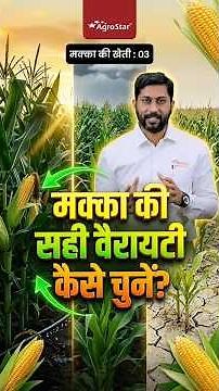 Top Maize Varieties 2026 | Maize Farming | Corn Farming | AgroStar