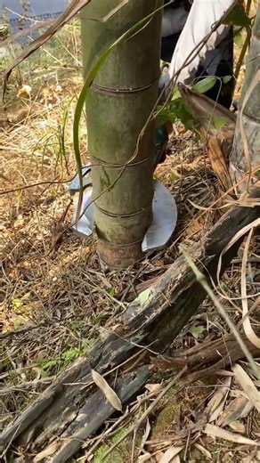 Text: "Innovative Farming Tool" at the top and "See It in Action!" at the bottom