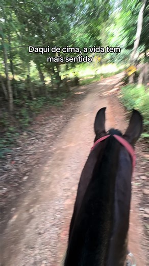 Meu sentido 🙌🏻#boiadeira #bois #fazenda #servico #cavalosminhapaixao
