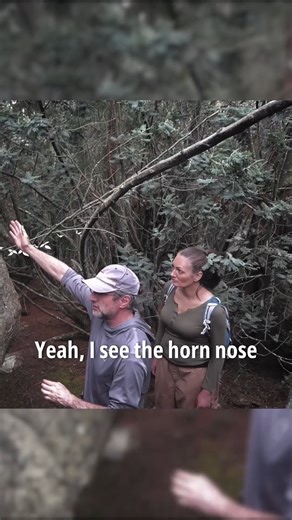 142K views · 1.7K reactions | Giant horned serpent stone discovered and examined for signs of deliberate working. #AdventureTravel #ExplorePage #Archaeology #Prehistory #ToolMarks | History Fuzz | Facebook