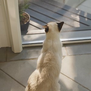 Say Goodbye to Sweltering Summers! Tired of feeling like you're stuck in a sauna at home? Introducing Phantom Screens - your solution for shaded comfort and a refreshing atmosphere all year round! Get ready to breathe easy! | Phantom Screens