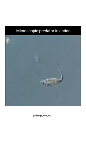 BI💙L💙GY🤞🏻 on Instagram: "Follow @biology_lover_02"