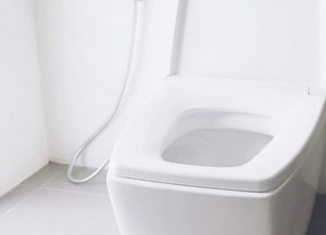 Install a Toilet Seat | Homeowner Simple Steps