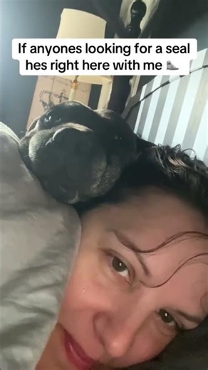 #dogs #rescuedog #funny #sealife #seele #cute #cutedog #dogmum #bonding #bond #wholesome #staffy