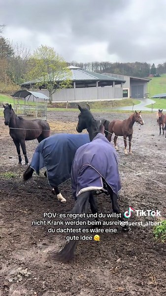 Dramatische Reaktionen beim Ausreiten – Was tun?