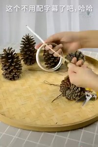 26K views · 119 reactions | How to use pine cones creatively | Tips and idea | Facebook