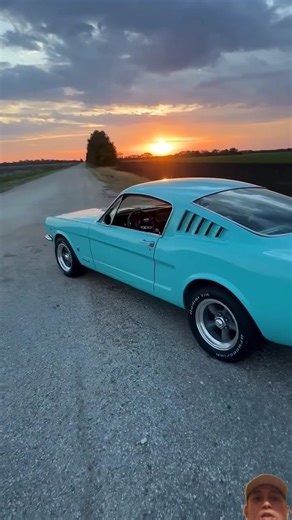 1966 Ford mustang fastback sound of small block American muscle #automobile #supercar #mopar