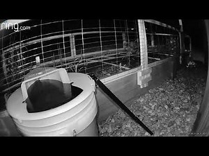 Simple Slide Bucket Lid Mouse Trap