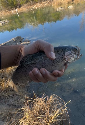 Oklahoma Trout Fishing Adventures at Blue River