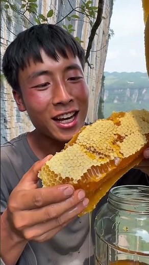 Amazing Wild Honey Harvest | 100% Pure Natural Honey Collection | Real Forest Honey Hunting