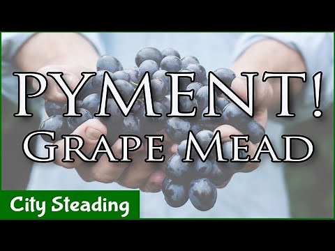 How to Make a Pyment Mead - Mead with Grapes - How to Make Mead with City Steading Brews!