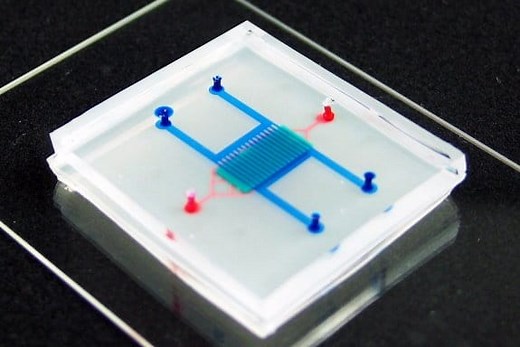 Heart-on-a-Chip: a novel microfluidic approach for cardiac research