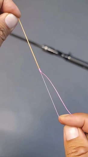 Albright Knot for Joining Multifilament to Fluorocarbon Leader