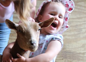 For Sale — Russian Ridge Farm