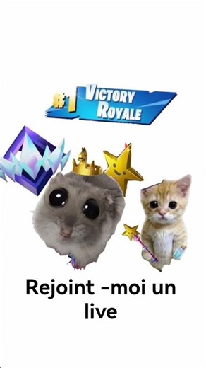 mon live les petits indiens