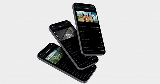 This Free App Lists Recipes for Over 100 Fujifilm Film Simulations