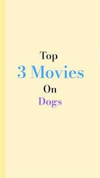 Top 3 movies on Dogs #bollywood#cinema#movie