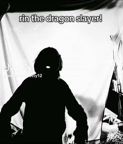 Rin the Dragon Slayer: A Shadow Community Story