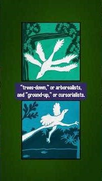 From Trees Down, or Ground Up? Yes.