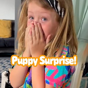 Not the dad crying too 😭 #puppysuprise | Pawsome Pets