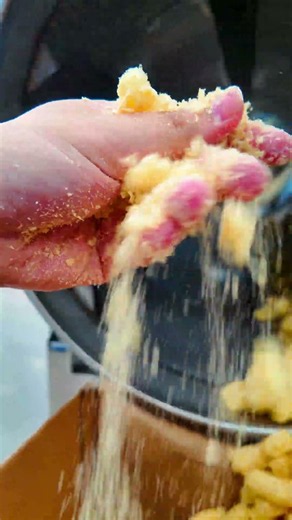 Snack Flavoring Drum in Action | The Ultimate Crispy Crunch Test! #machine