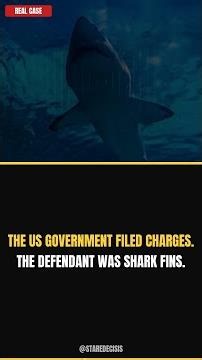 The US Government Filed Charges. The Defendant Was Shark Fins.