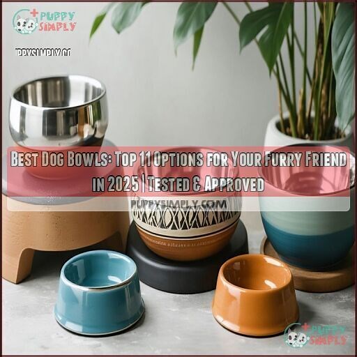 10 Best Dog Bowls of 2026: Tested, Reviewed & Easy to Choose