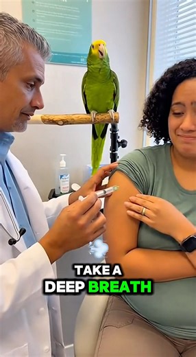 Parrot Roasts Doctor During Injection 😆 | Funny Clinic Moment #parrot #shorts